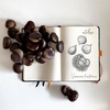 image:imageGoalbook Rhodiarama Hard Notebook Chocolate 148x210  A5 240p120 Sheets Ivory 90 gm2 Dot Grid  Pack of 2