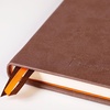 image:imageGoalbook Rhodiarama Hard Notebook Chocolate 148x210  A5 240p120 Sheets Ivory 90 gm2 Dot Grid  Pack of 2