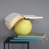 image:imageRHODIA 117559C  Soft Notebook Iris  19x25 cm  Dot Dot  160 pages  Clairefontaine Ivory Paper 90 gm  Bookmark Elastic Closure  Faux Leather Cover  Rhodiarama CollectionCeladon