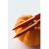 image:imageRHODIA 9388C  Script Refillable Ballpoint Pen Hexagonal Brushed Aluminium Body  Orange  07 mm High Precision Retractable Ball Point Black Ink  Script CollectionOrange