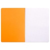 image:imageRhodia 119164Cpack  Set of 10 Orange Staplebound Notebooks  A4  Small Squares  96 pages  80gsm White Paper  Waterproof Resistant Soft Coated Card Cover