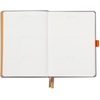 image:imageRhodia GoalbookSilver