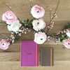 image:imageRhodia Rhodiarama SoftCover Notebook  72 Dots Sheets  4 x 5 12  Sapphire CoverLilac