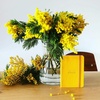 image:imageRhodia Rhodiarama SoftCover Notebook  72 Dots Sheets  4 x 5 12  Sapphire CoverYellow
