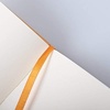 image:imageRhodia Webnotebook Webbie Faux Leather Hardcover  96 Sheets 192 Pages 90g Blank Ivory Paper  Great Journal or Notebook Sketchbook