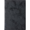 black (black 19-3911tcx)